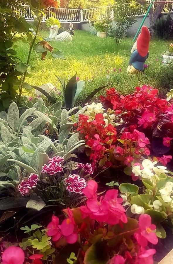 Apartman Nata Senj  Luaran gambar